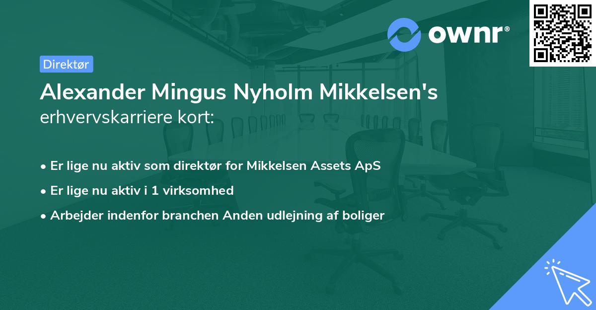 Alexander Mingus Nyholm Mikkelsen's erhvervskarriere kort