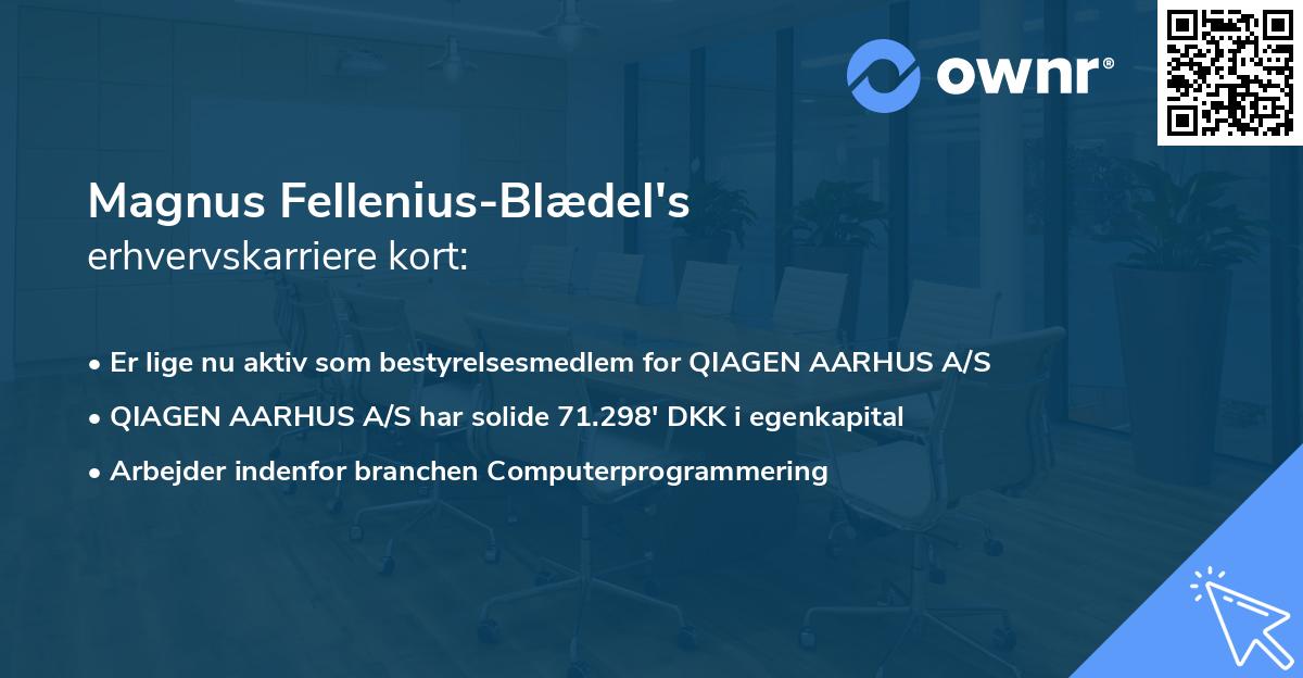 Magnus Fellenius-Blædel's erhvervskarriere kort