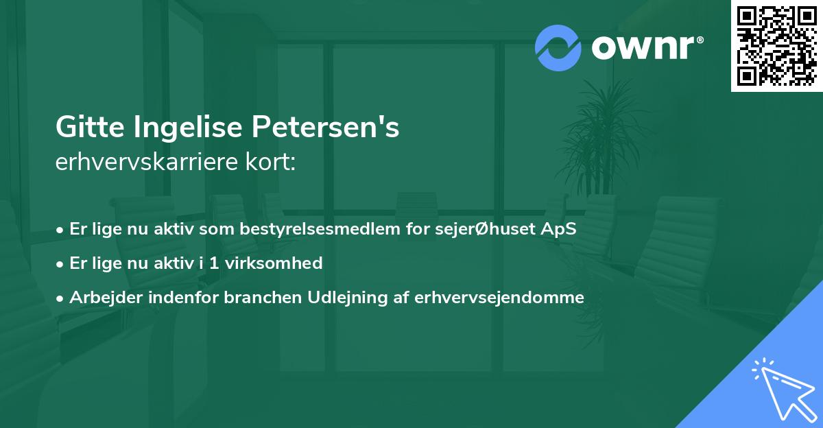 Gitte Ingelise Petersen's erhvervskarriere kort