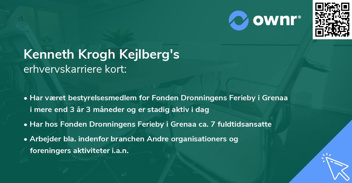 Kenneth Krogh Kejlberg's erhvervskarriere kort