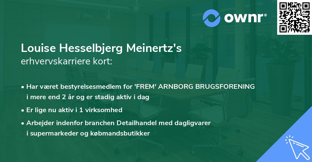 Louise Hesselbjerg Meinertz's erhvervskarriere kort