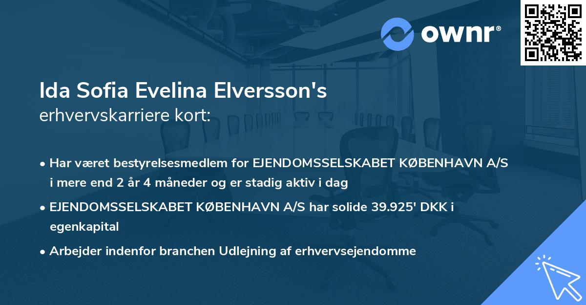 Ida Sofia Evelina Elversson's erhvervskarriere kort