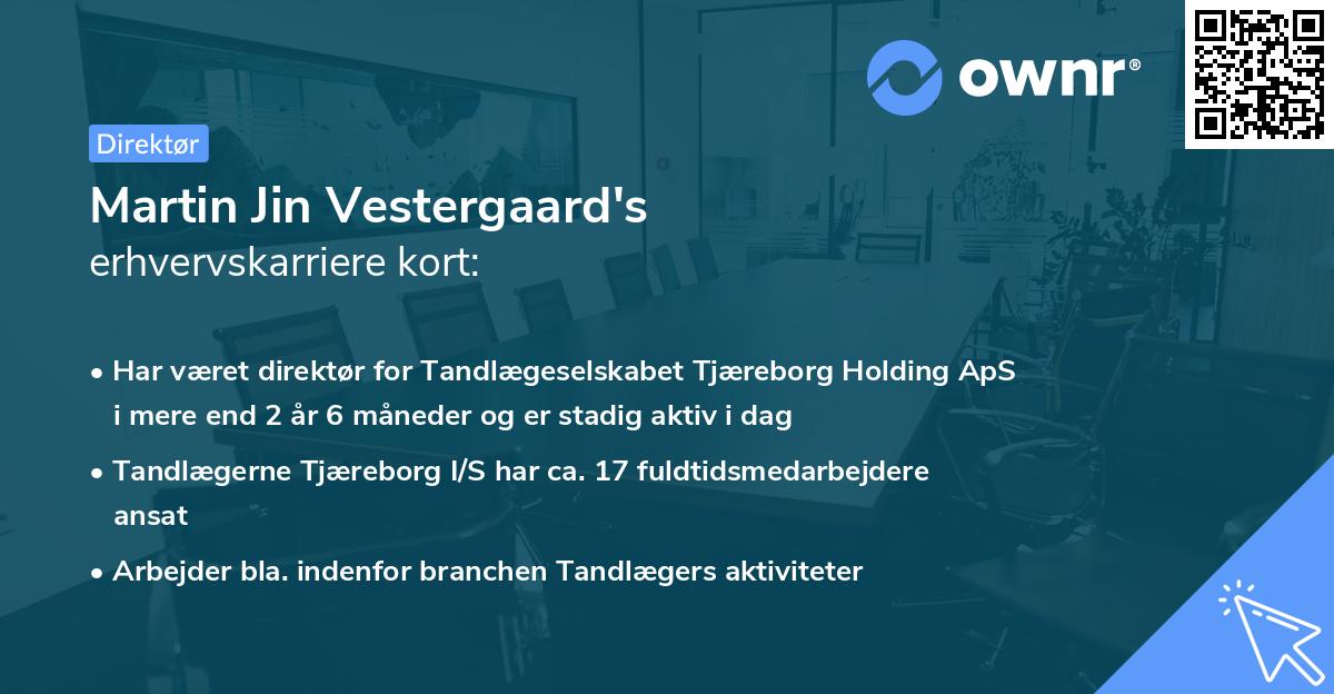 Martin Jin Vestergaard's erhvervskarriere kort