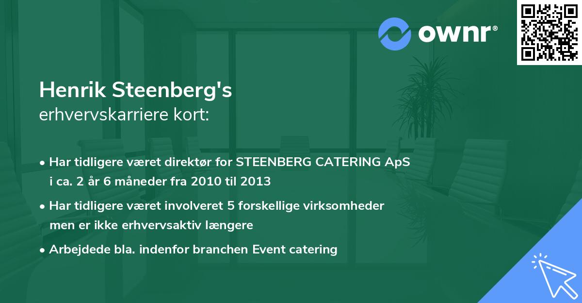Henrik Steenberg's erhvervskarriere kort