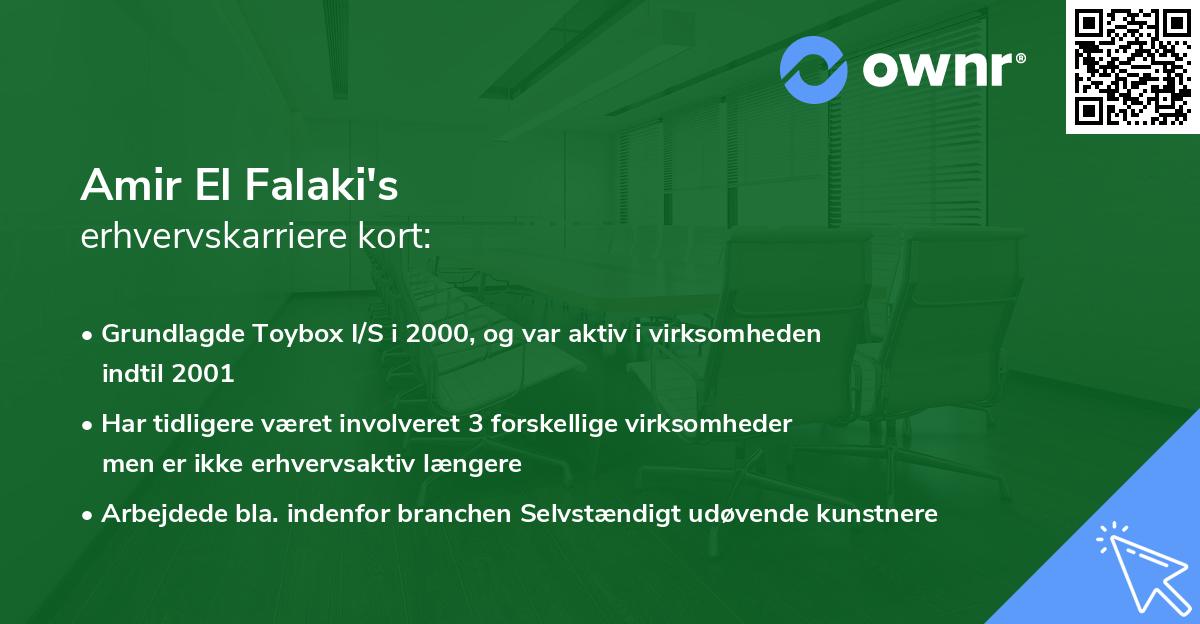 Amir El Falaki's erhvervskarriere kort