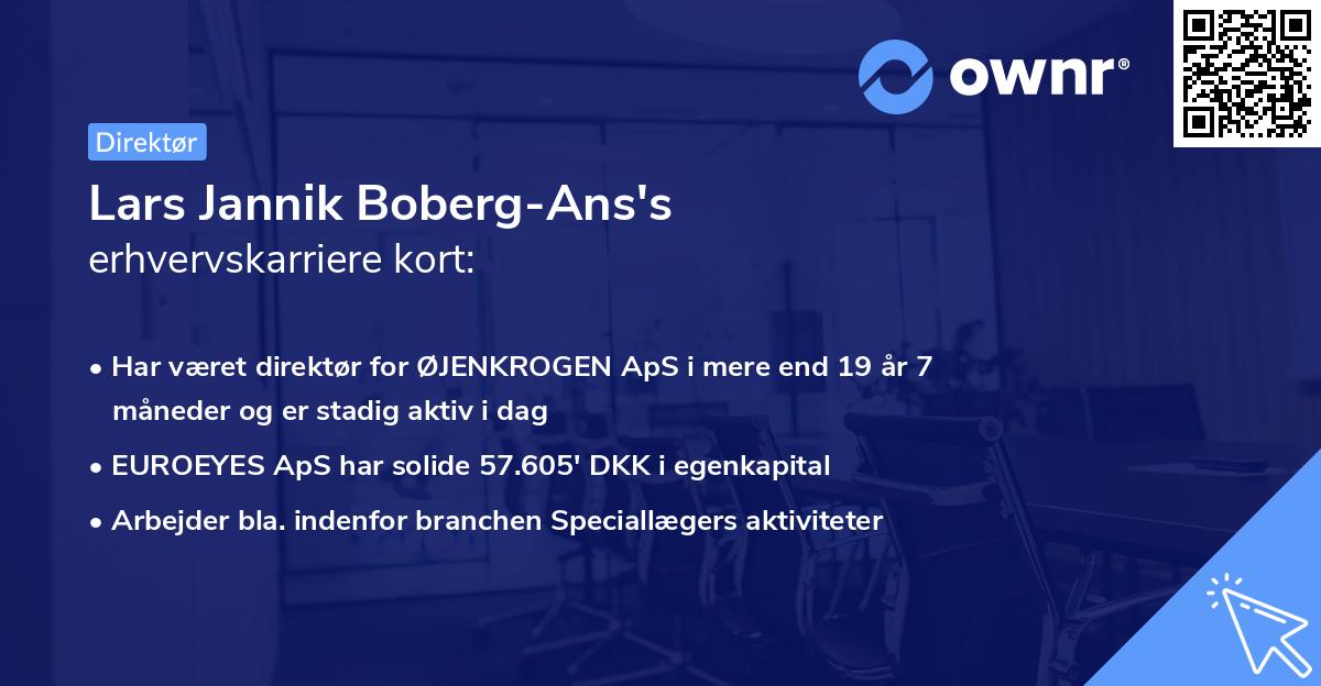 Lars Jannik Boberg-Ans's erhvervskarriere kort