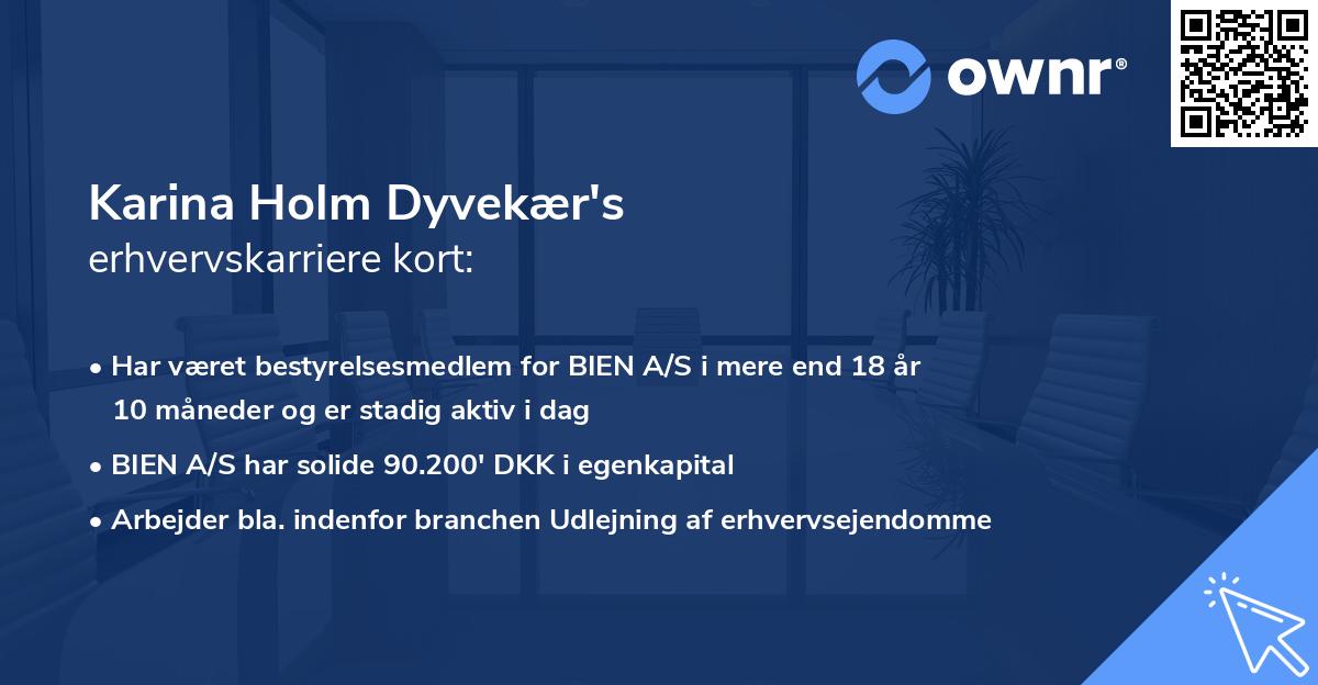 Karina Holm Dyvekær's erhvervskarriere kort