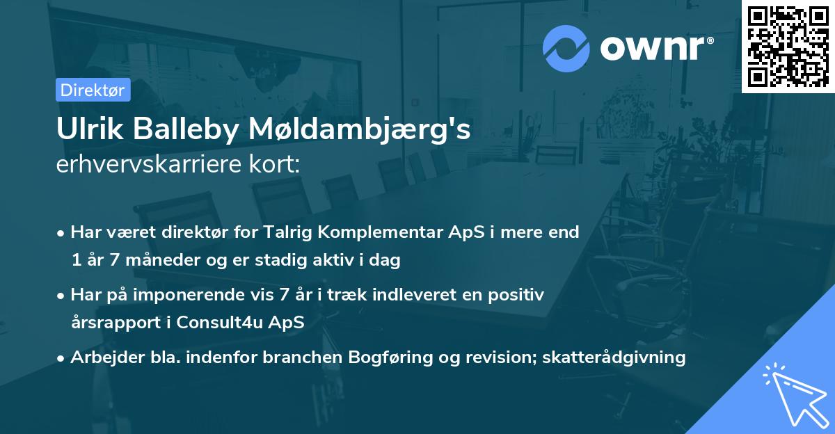 Ulrik Balleby Møldambjærg's erhvervskarriere kort