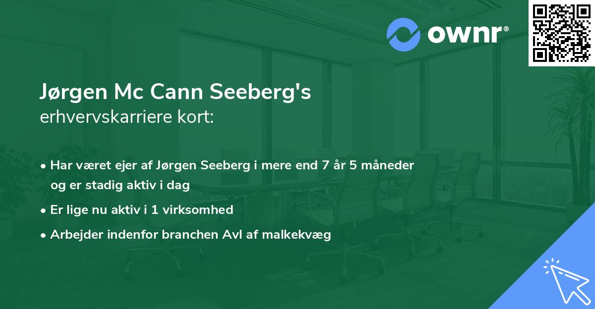 Jørgen Mc Cann Seeberg's erhvervskarriere kort