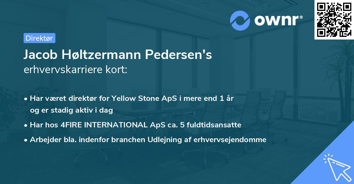Jacob Høltzermann Pedersen's erhvervskarriere kort