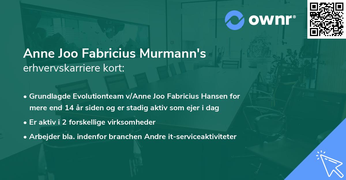 Anne Joo Fabricius Murmann's erhvervskarriere kort