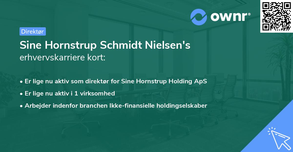 Sine Hornstrup Schmidt Nielsen's erhvervskarriere kort