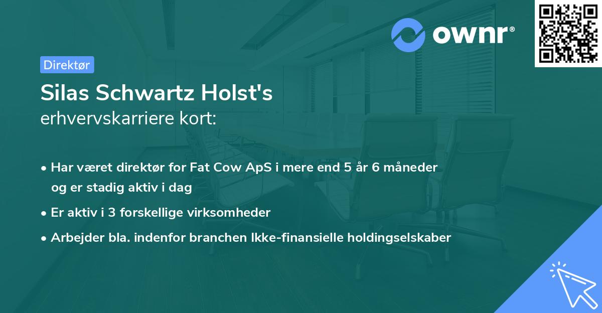 Silas Schwartz Holst's erhvervskarriere kort