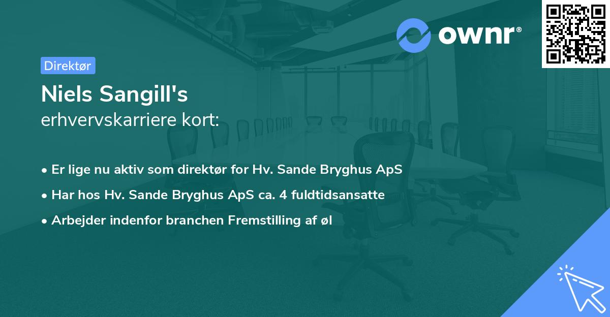 Niels Sangill's erhvervskarriere kort