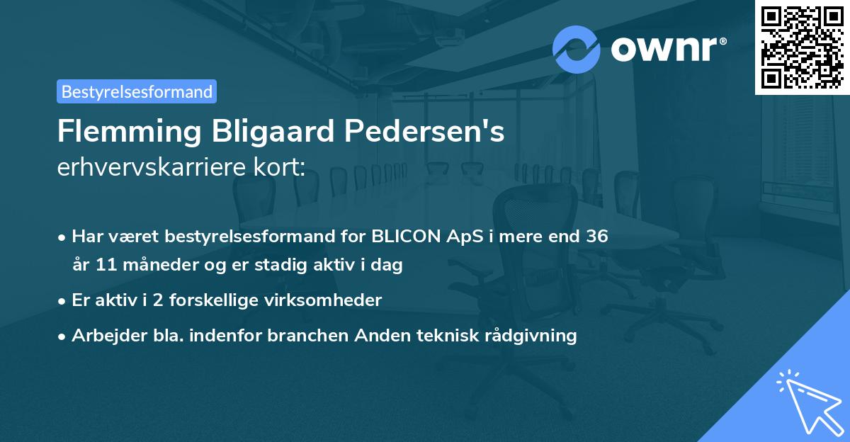 Flemming Bligaard Pedersen's erhvervskarriere kort