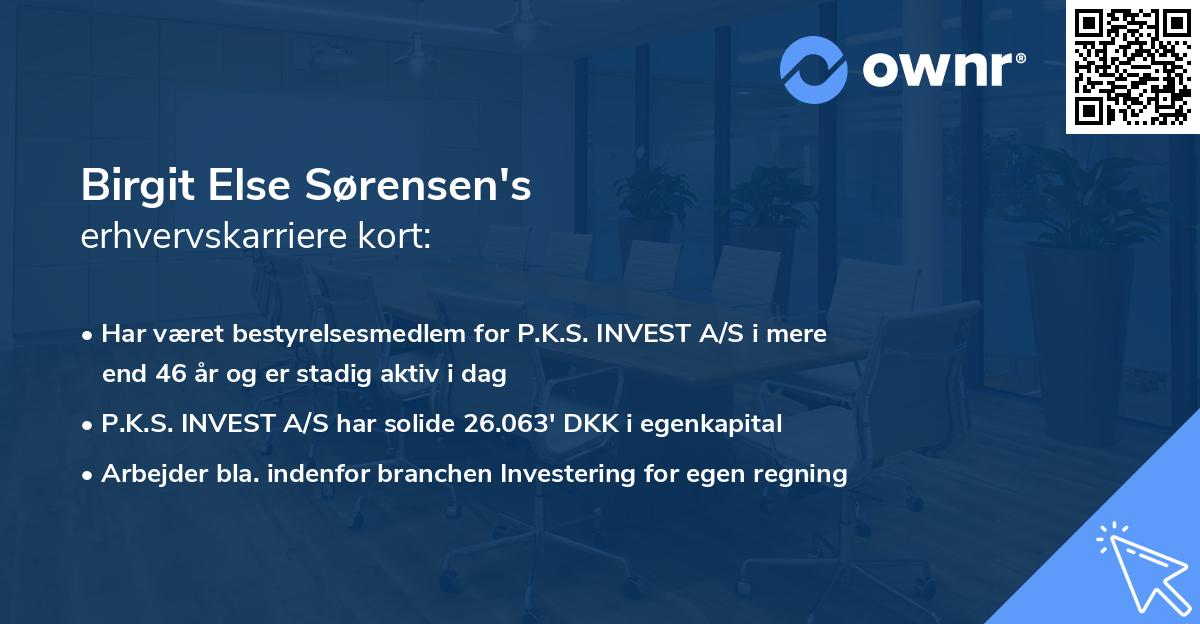Birgit Else Sørensen's erhvervskarriere kort