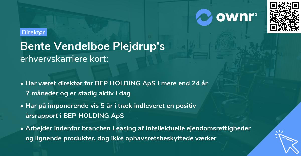 Bente Vendelboe Plejdrup's erhvervskarriere kort