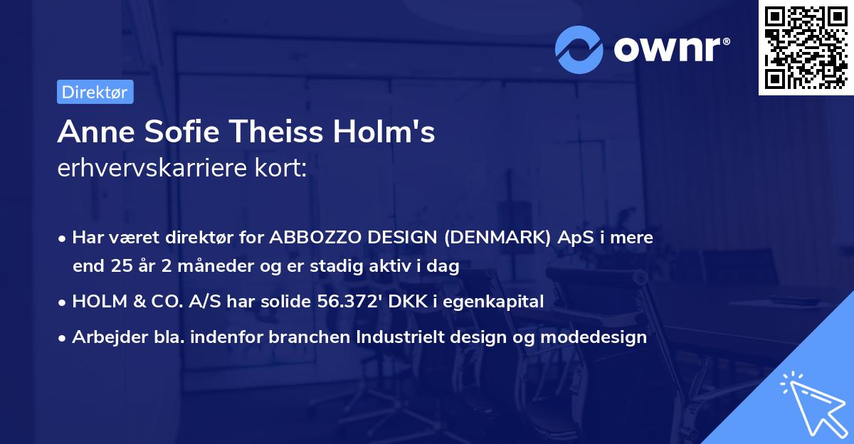 Anne Sofie Theiss Holm's erhvervskarriere kort