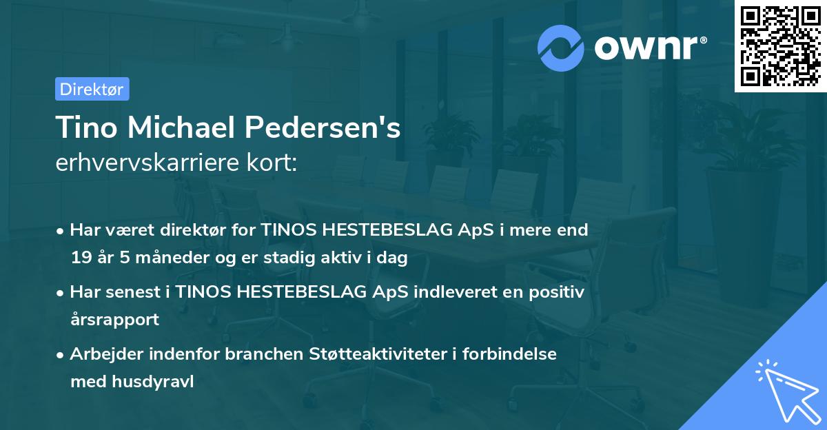 Tino Michael Pedersen's erhvervskarriere kort