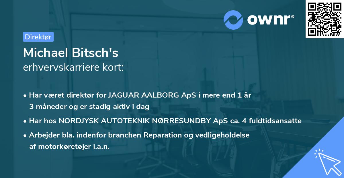 Michael Bitsch's erhvervskarriere kort
