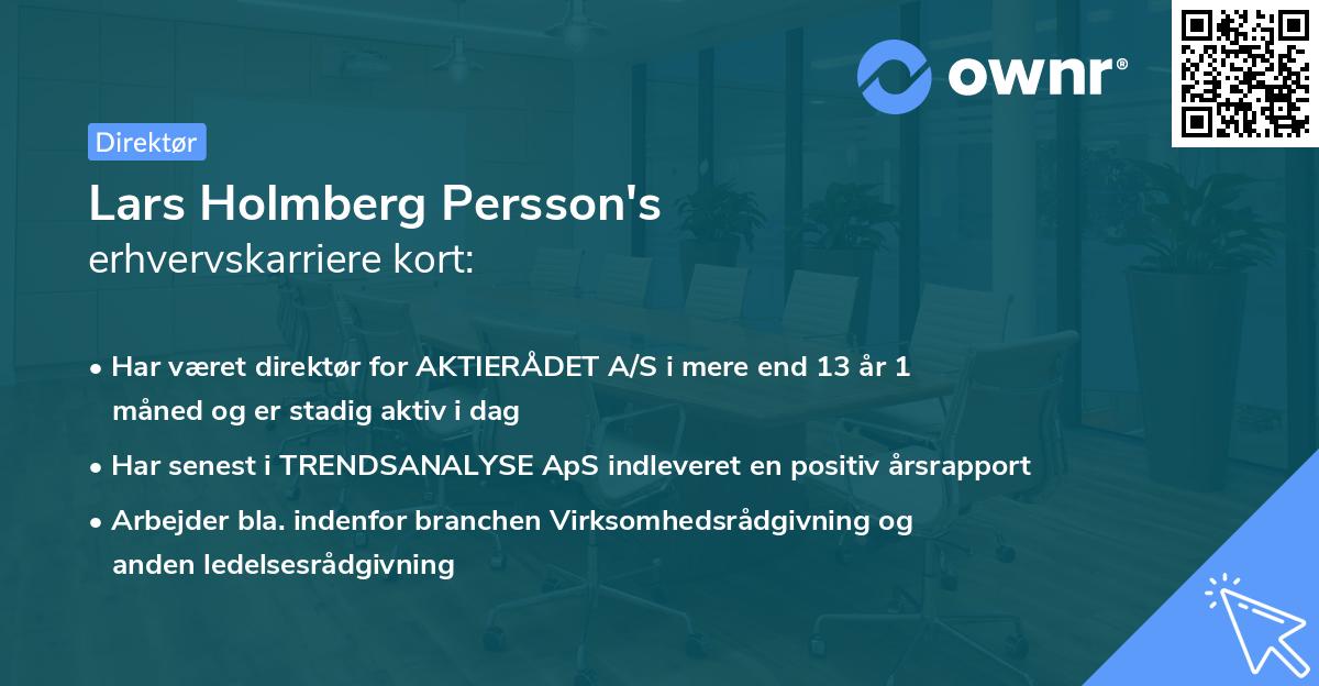 Lars Holmberg Persson's erhvervskarriere kort