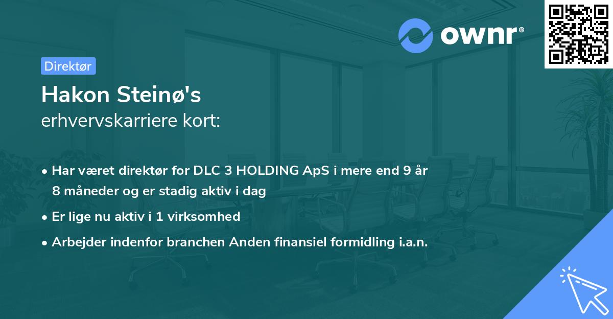 Hakon Steinø's erhvervskarriere kort
