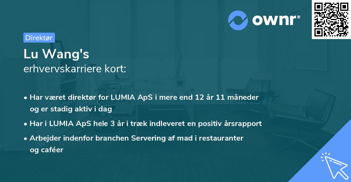 Lu Wang's erhvervskarriere kort