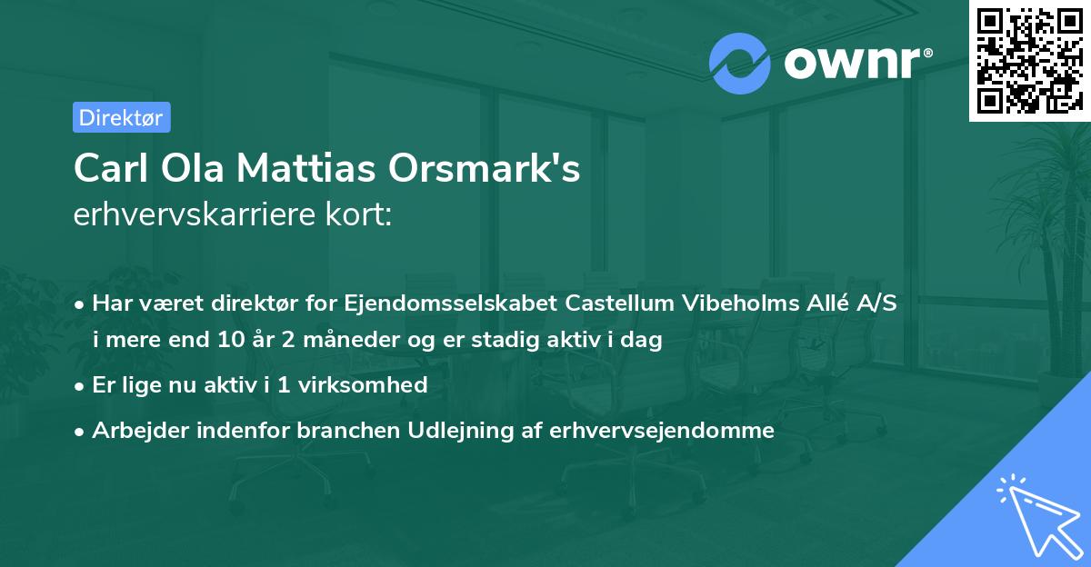 Carl Ola Mattias Orsmark's erhvervskarriere kort