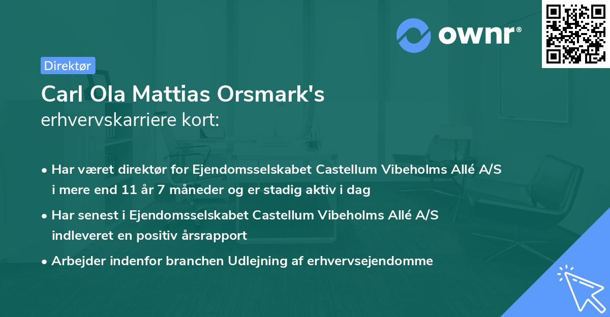 Carl Ola Mattias Orsmark's erhvervskarriere kort