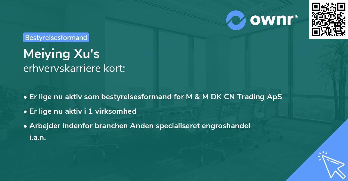 Meiying Xu's erhvervskarriere kort