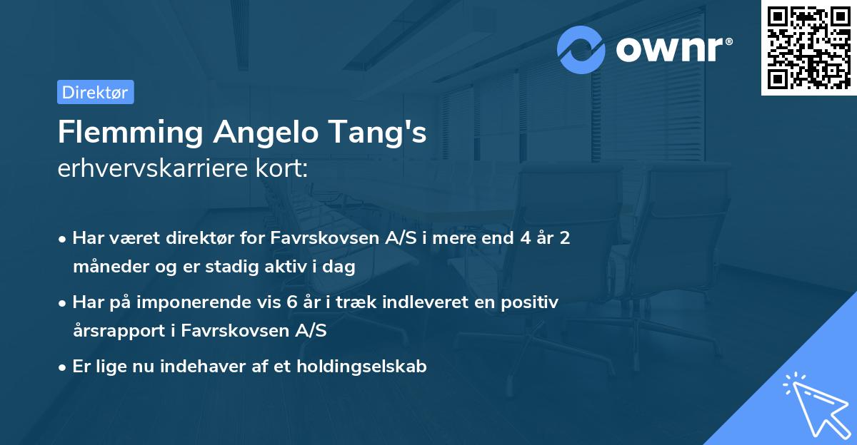 Flemming Angelo Tang's erhvervskarriere kort