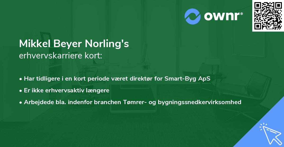 Mikkel Beyer Norling's erhvervskarriere kort