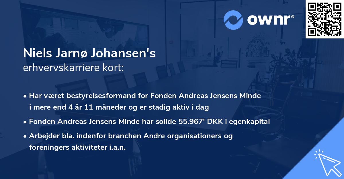 Niels Jarnø Johansen's erhvervskarriere kort