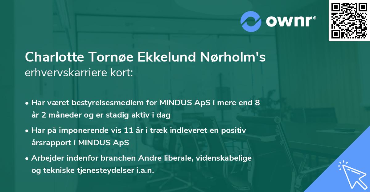 Charlotte Tornøe Ekkelund Nørholm's erhvervskarriere kort