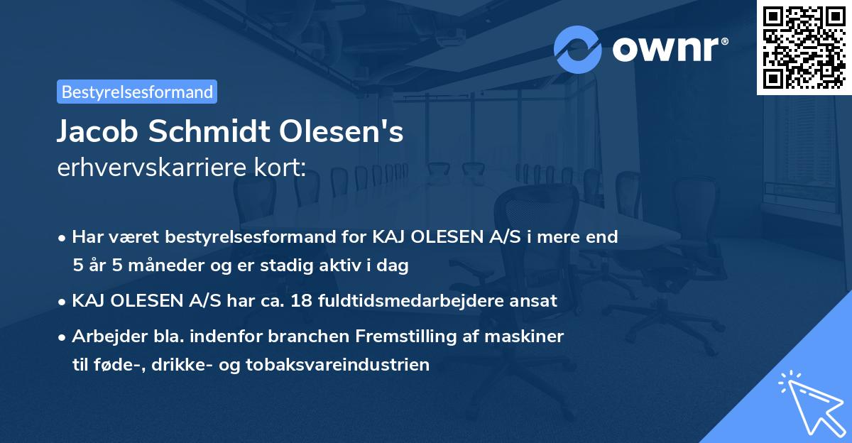 Jacob Schmidt Olesen's erhvervskarriere kort