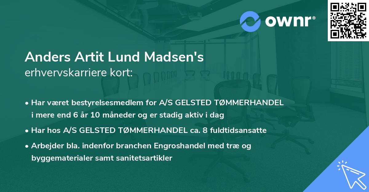 Anders Artit Lund Madsen's erhvervskarriere kort