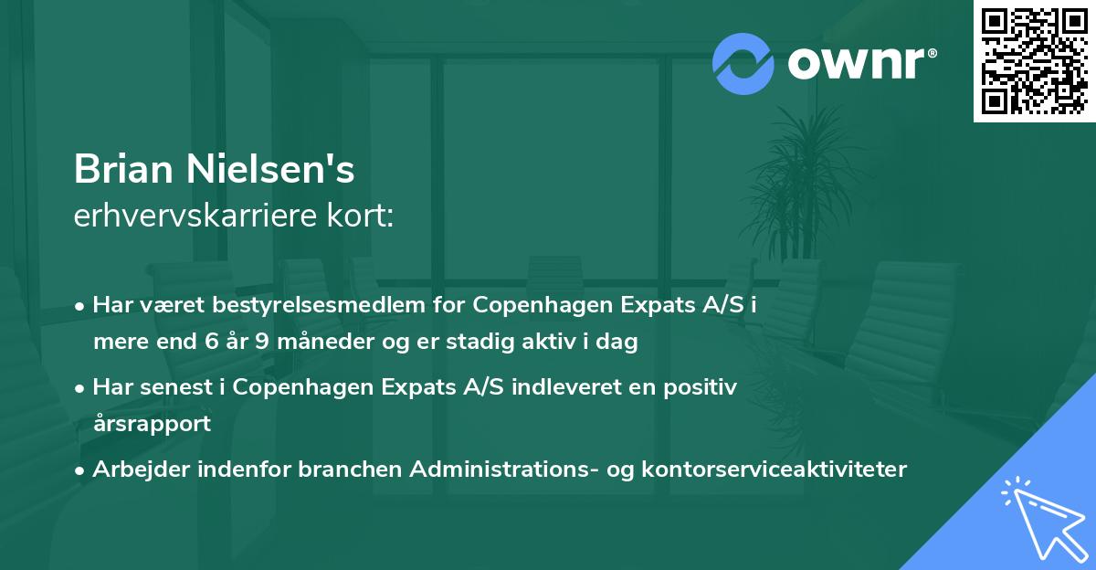 Brian Nielsen's erhvervskarriere kort