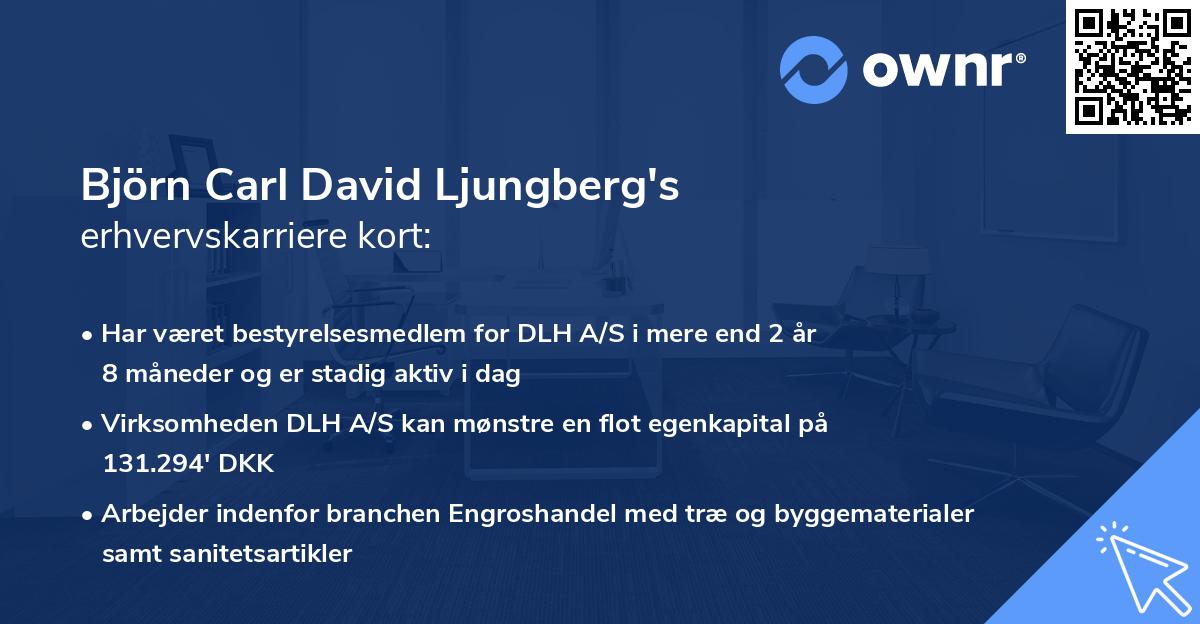 Björn Carl David Ljungberg's erhvervskarriere kort