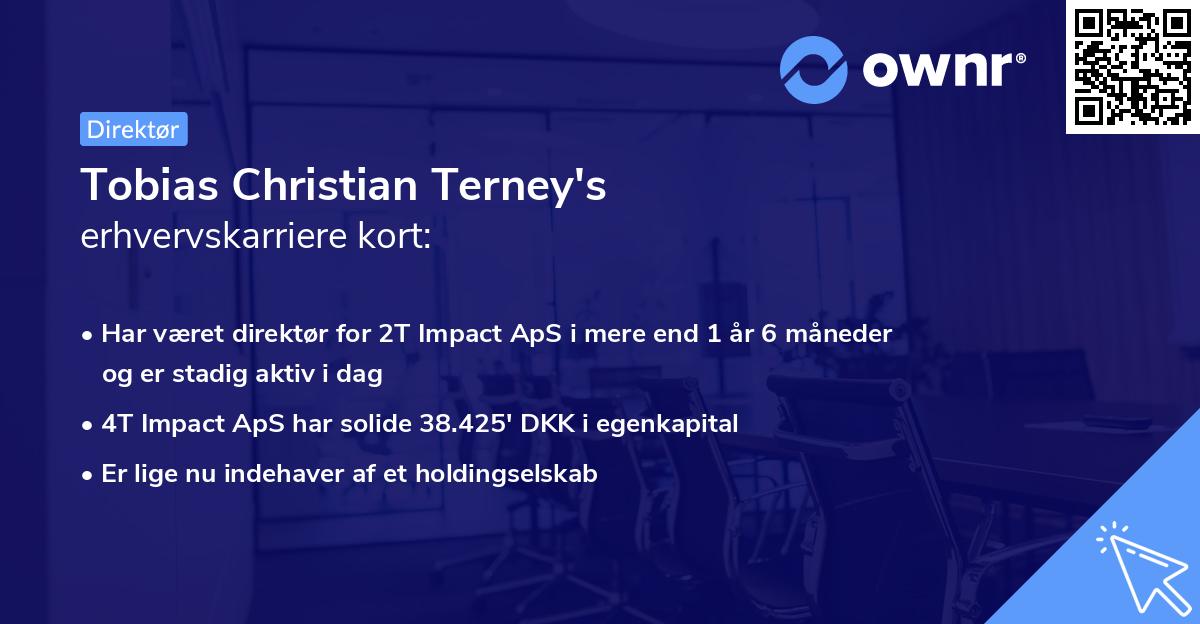 Tobias Christian Terney's erhvervskarriere kort