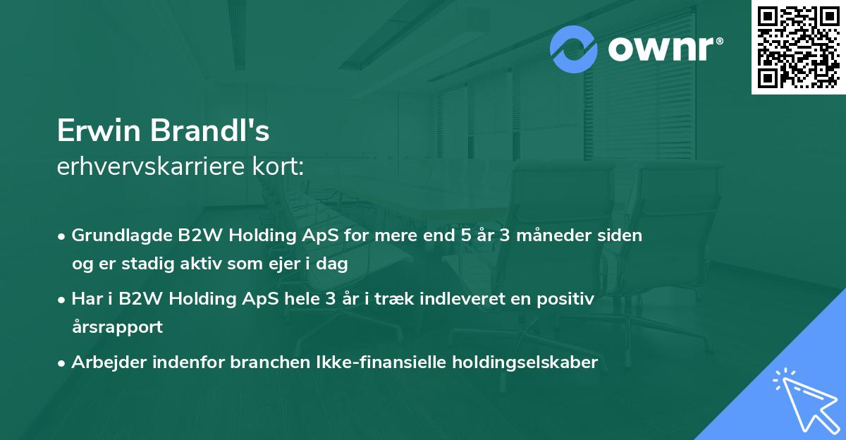 Erwin Brandl's erhvervskarriere kort