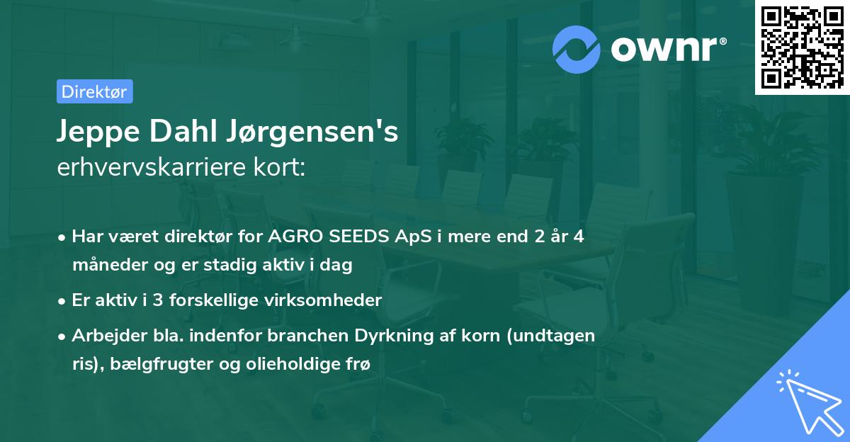 Jeppe Dahl Jørgensen's erhvervskarriere kort
