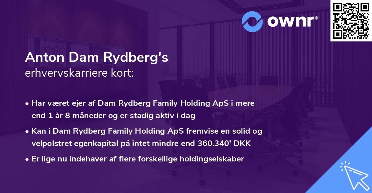 Anton Dam Rydberg's erhvervskarriere kort