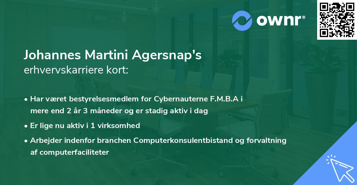 Johannes Martini Agersnap's erhvervskarriere kort