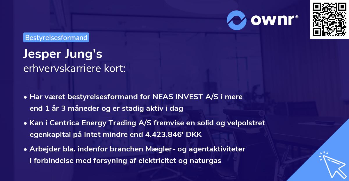 Jesper Jung's erhvervskarriere kort