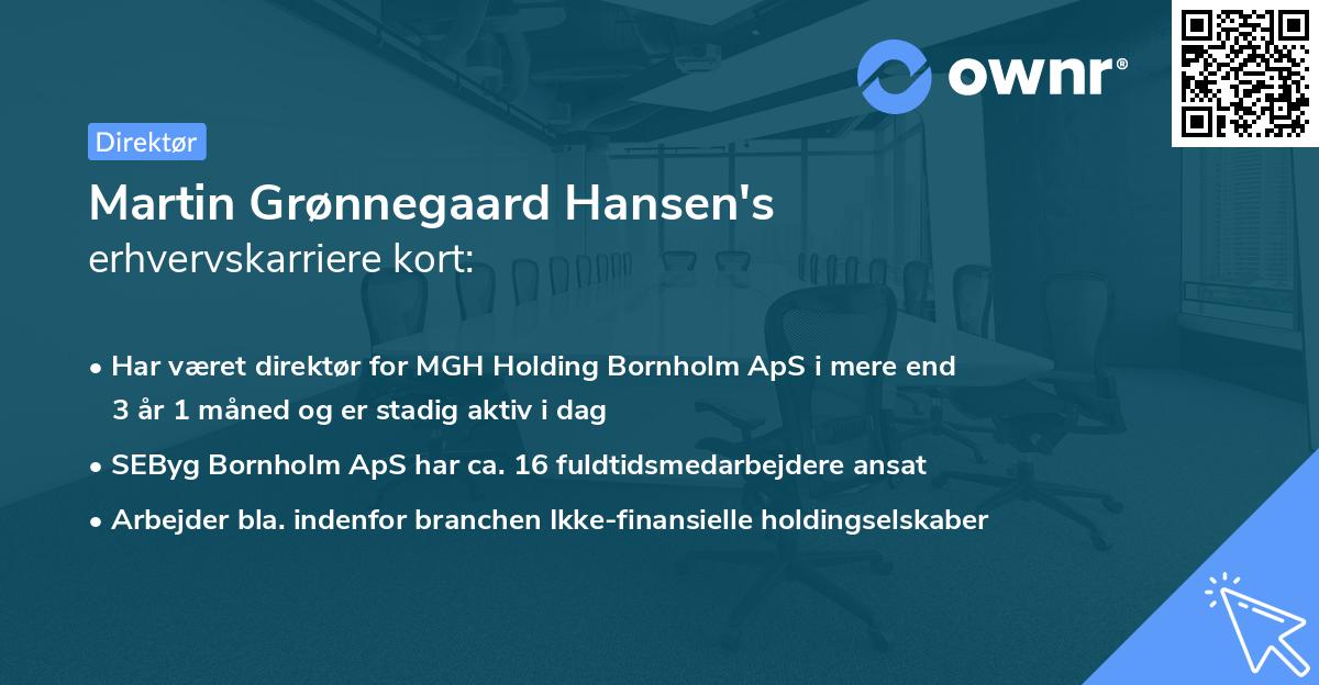 Martin Grønnegaard Hansen's erhvervskarriere kort