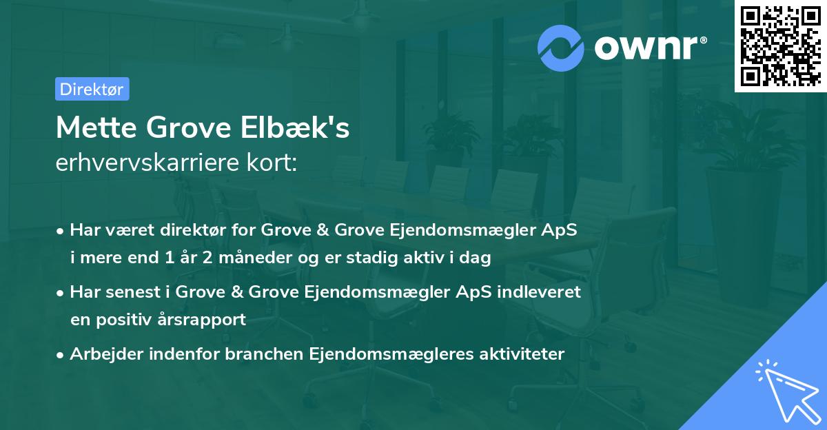 Mette Grove Elbæk's erhvervskarriere kort