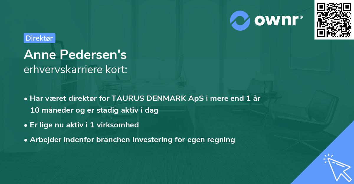 Anne Pedersen's erhvervskarriere kort