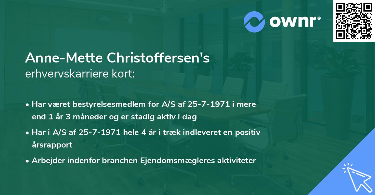 Anne-Mette Christoffersen's erhvervskarriere kort