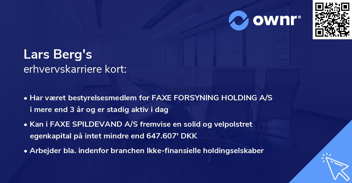 Lars Berg's erhvervskarriere kort