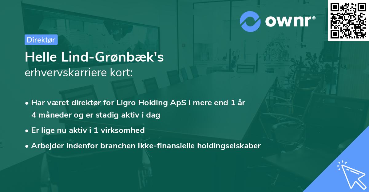 Helle Lind-Grønbæk's erhvervskarriere kort